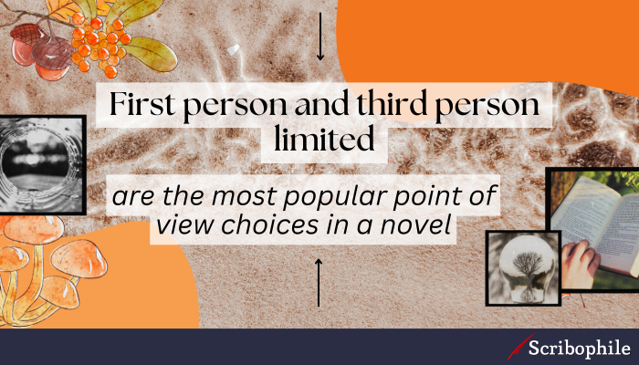 First person and third person limited are the most popular point of view choices in a novel