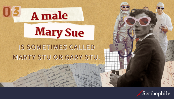 A male Mary Sue is sometimes called Marty Stu or Gary Stu.